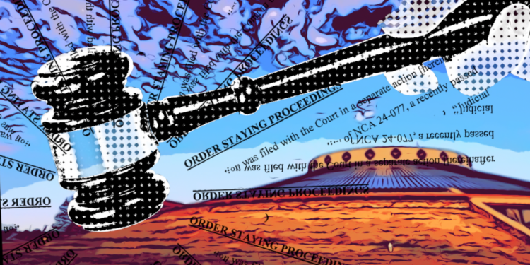 Stay issued in freedmen case